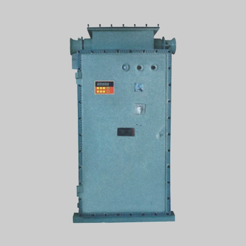 人民电器, , ,中国人民电器,BQXB51系列防爆变频调速箱(II B)
